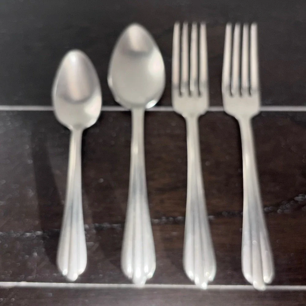 NS Co‎ 18-8 Stainless Steel Flatware Set | NST23 | 4pc 2 Forks 2 Spoons